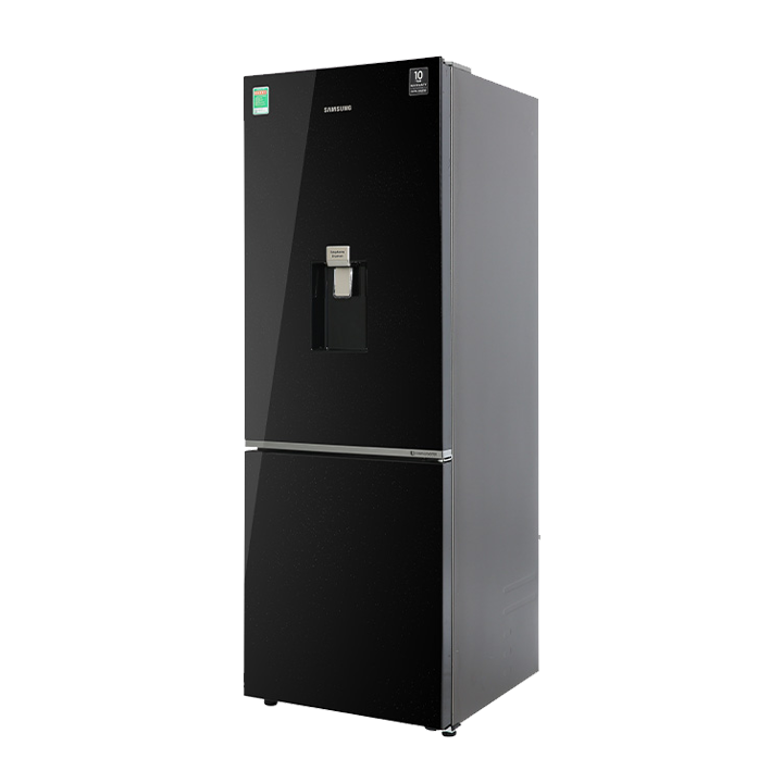 Tủ lạnh Samsung Inverter 307 lít RB30N4190BY/SV