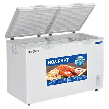 Tủ đông Hòa Phát HPF BD6205G 205 lít