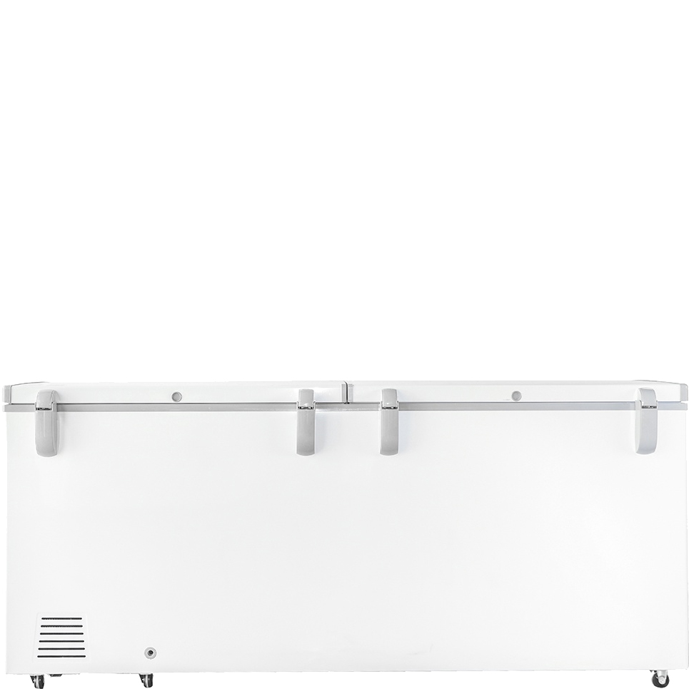 Tủ đông Sanaky 761 lít VH-8699HY3