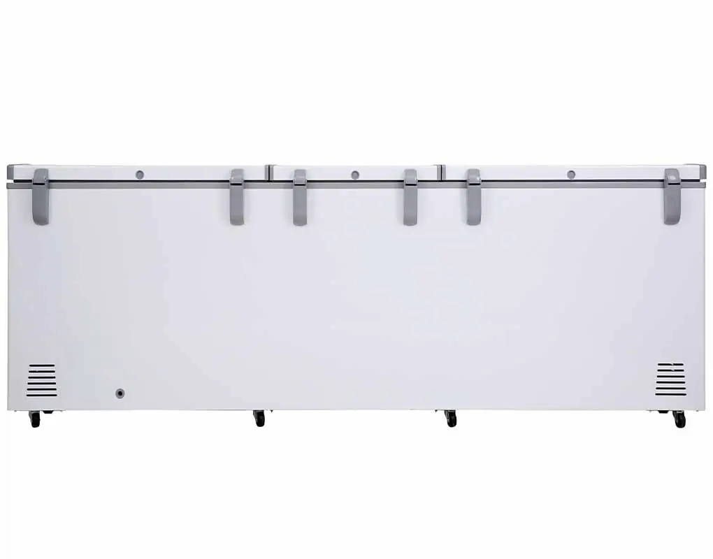Tủ đông Sanaky 900 lít VH-1199HY